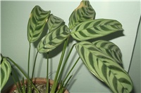 bccd2a56-Picture 044.jpg